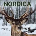Ламинат Tarkett Sommer Nordica Ламинат Tarkett Sommer Nordica